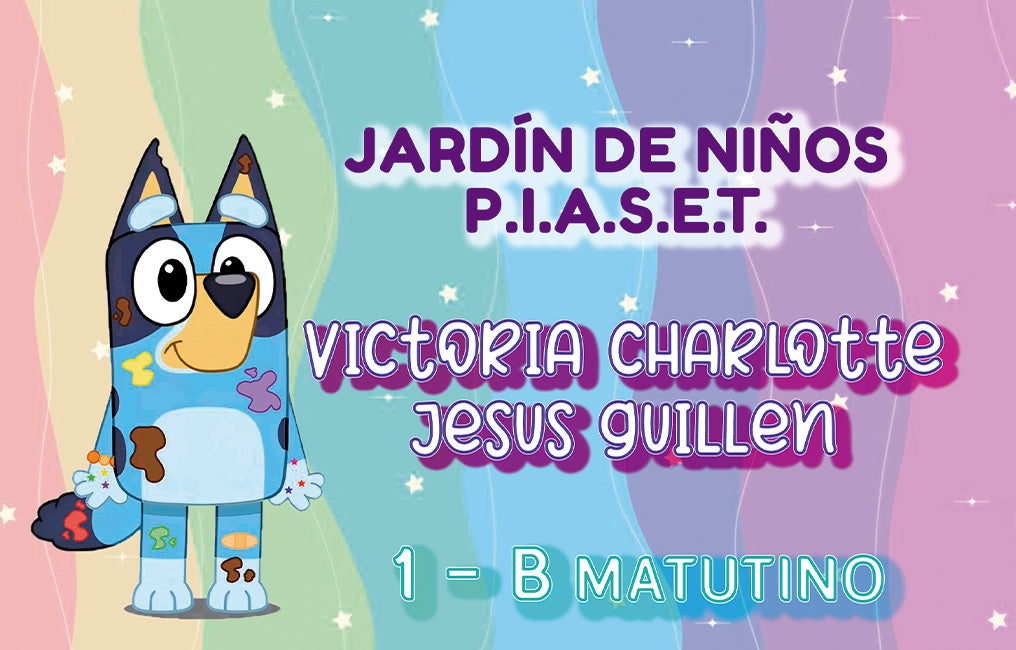 Diseño Gráfico Profesional en Cancún – Creatividad que impulsa tu marca