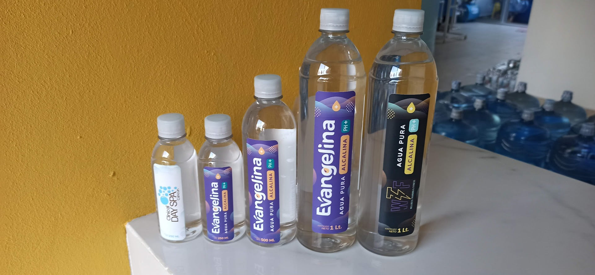 Lonas Personalizadas